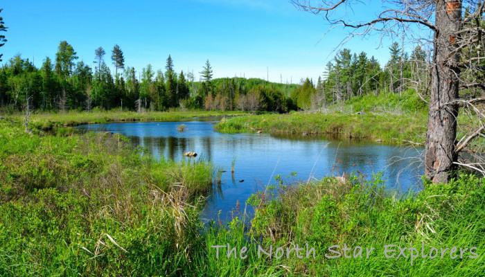 Creek to Bridal Falls